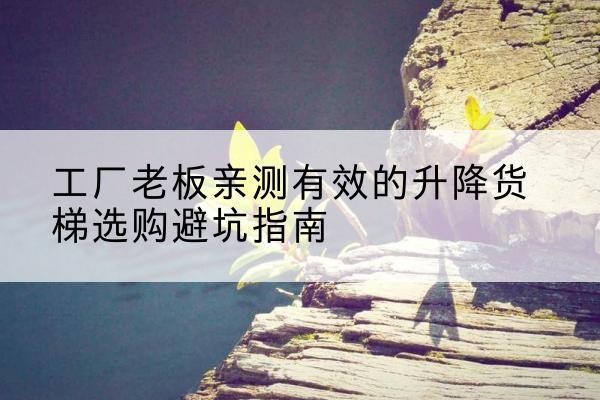 望奎升降货梯怎么选-工厂老板亲测有效的升降货梯选购避坑指南