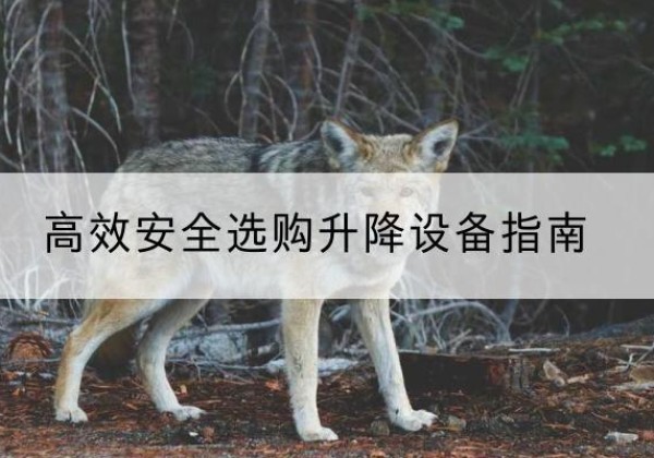 望奎升降货梯厂家推荐-*安全选购升降设备指南