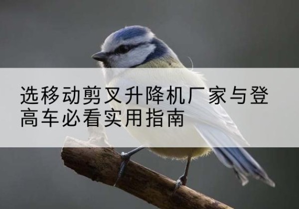 望奎电动升降机厂家-选移动剪叉升降机厂家与登高车必看实用指南