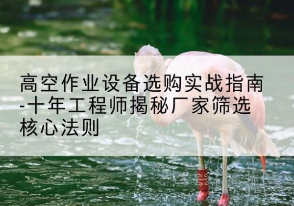 望奎剪叉式升降机厂家-高空作业设备选购实战指南-十年工程师揭秘厂家筛选核心法则