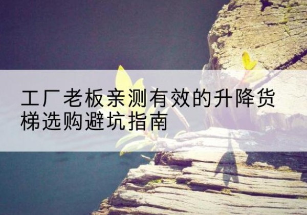 望奎升降货梯怎么选-工厂老板亲测有效的升降货梯选购避坑指南